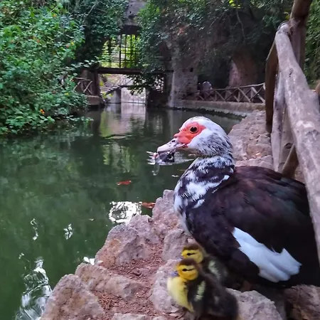 アパート Golden 2