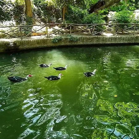 Golden 2 アパート イアリソス