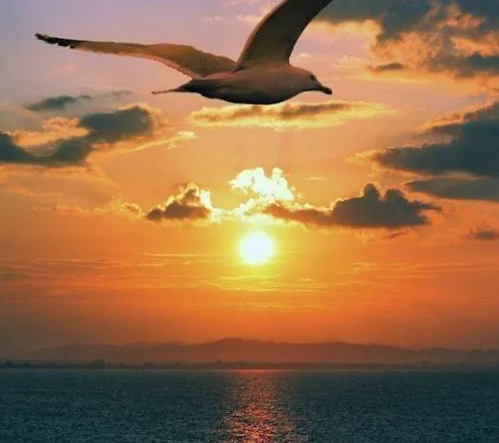 Apartament Golden 2 *