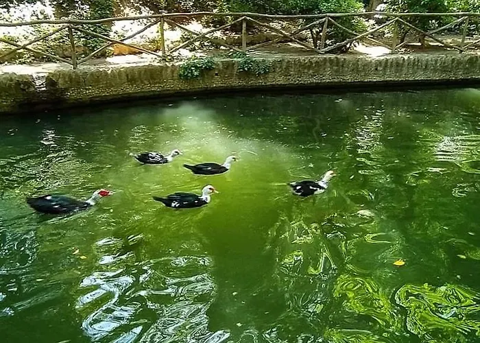 Golden 2 Apartament Ialysos (Rhodes)