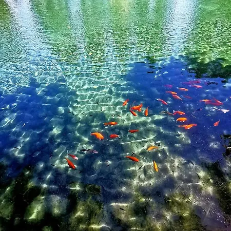 Apartamento Golden 2